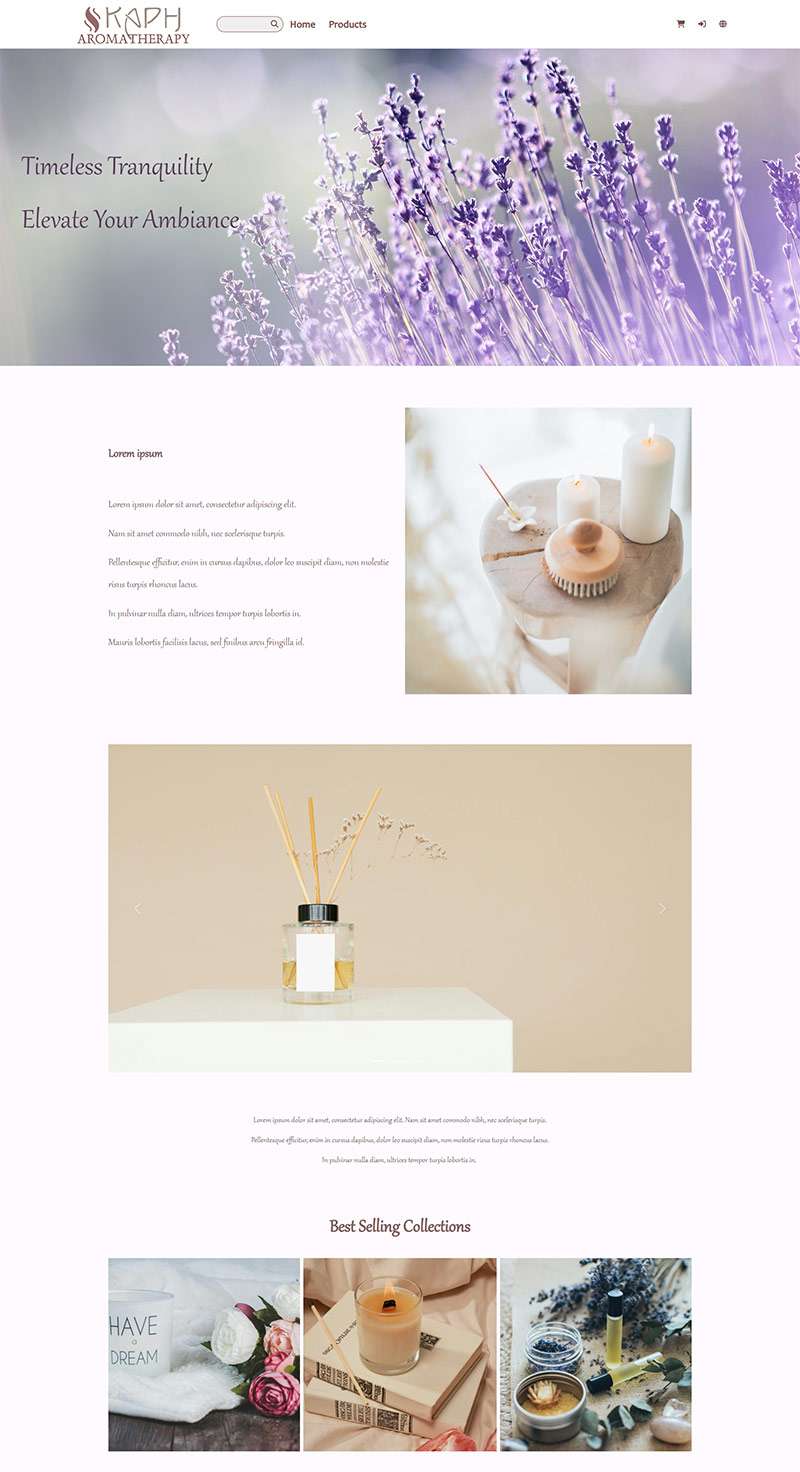 online shop template